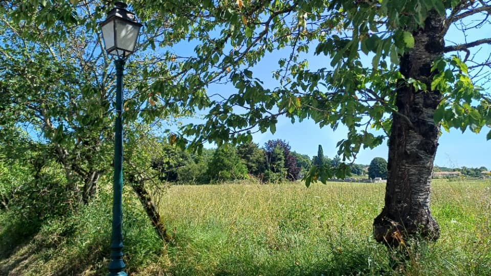 Terrain - Terrain à bâtir Trois-Palis (16730) à Trois-Palis (16), prix 44 500 €