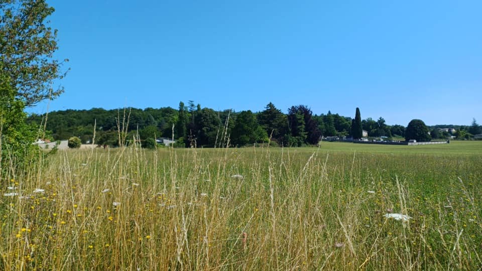 Terrain - Terrain à bâtir Trois-Palis (16730) à Trois-Palis (16), prix 44 500 €