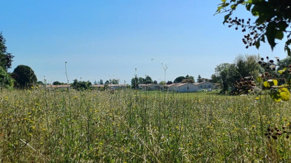 Terrain - Terrain à bâtir Trois-Palis (16730) à Trois-Palis (16), prix 45 500 €