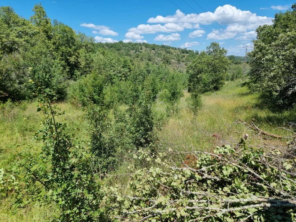 Terrain - Terrain à bâtir Saint-Pierre-Lafeuille (46090) à Saint-Pierre-Lafeuille (46), prix 45 000 €