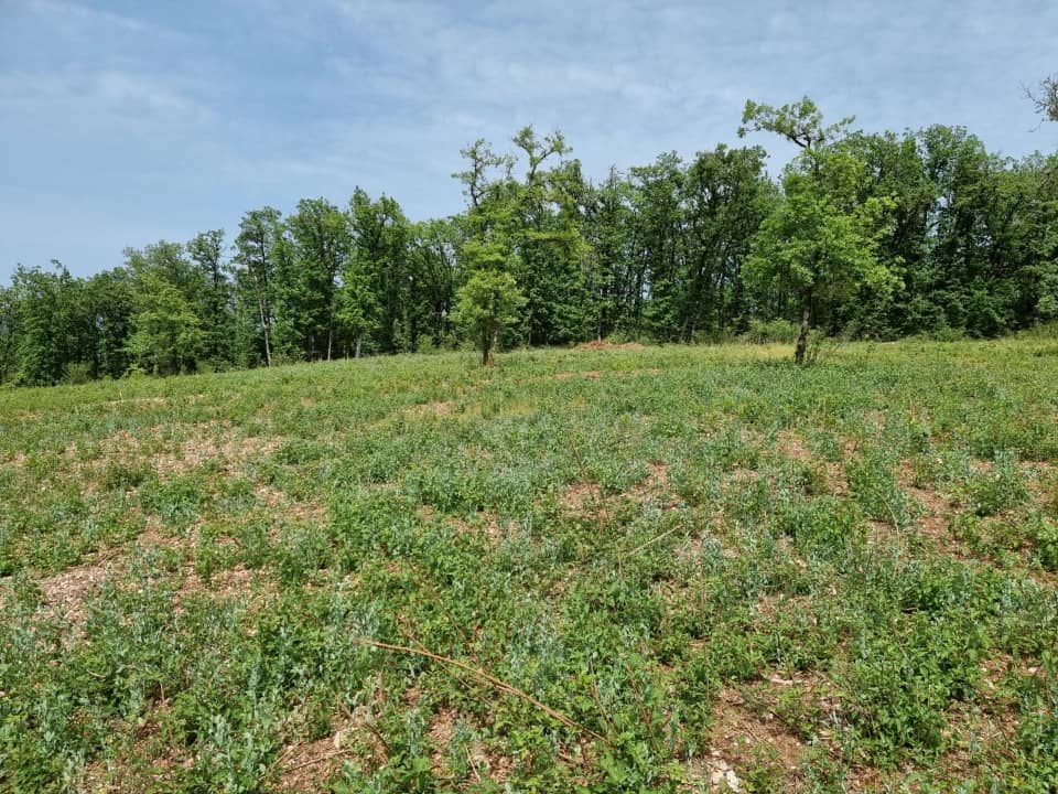 Terrain - Terrain à bâtir Le Montat (46090) à Le Montat (46), prix 28 000 €