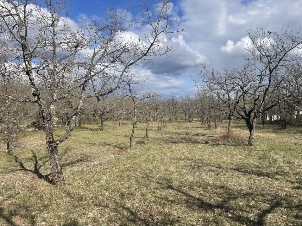 Terrain - Terrain à bâtir Lhospitalet (46170) à Lhospitalet (46), prix 25 000 €