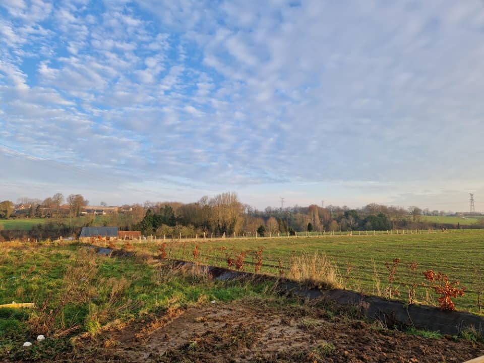 Terrain - Terrain à bâtir () à Tancarville, prix 73 000 €