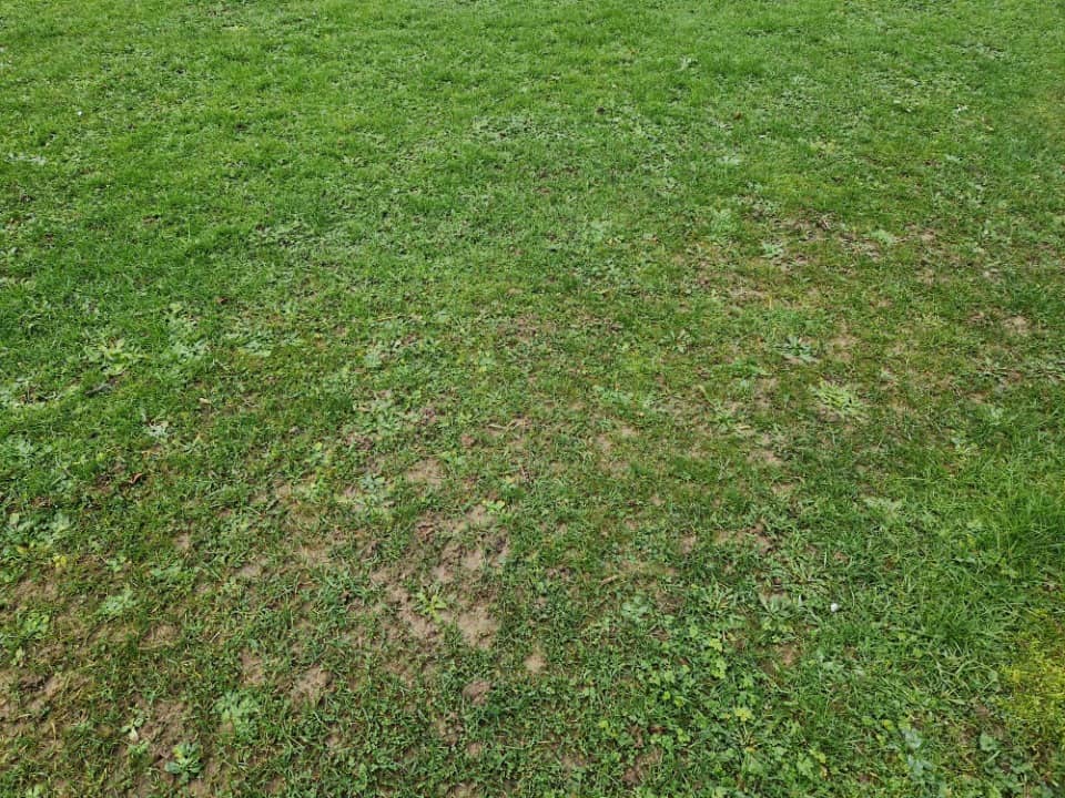 Terrain - Terrain à bâtir Vattetot-sous-Beaumont (76110) à Vattetot-sous-Beaumont, prix 68 500 €