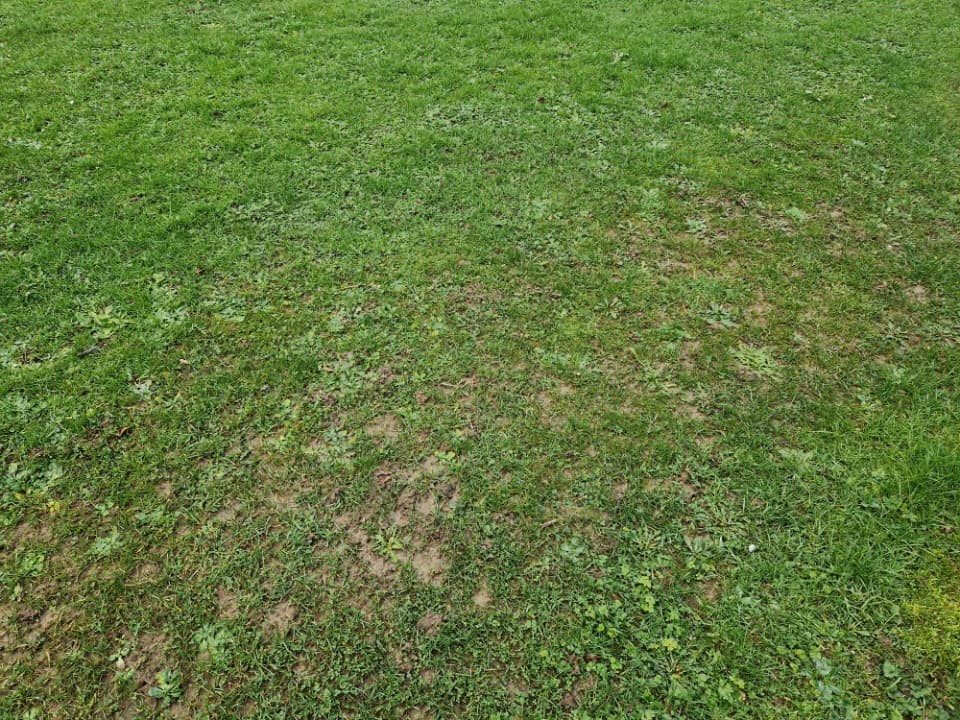 Terrain - Terrain à bâtir Vattetot-sous-Beaumont (76110) à Vattetot-sous-Beaumont (76), prix 68 500 €