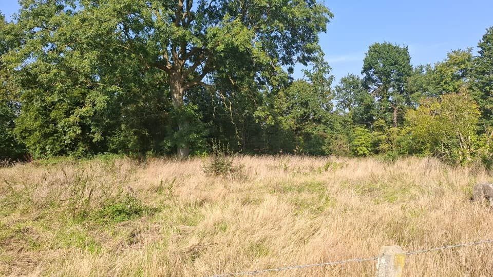 Terrain - Terrain à bâtir () à Le Havre, prix 199 000 €