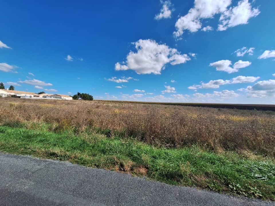 Terrain - Terrain à bâtir () à Moëze, prix 46 500 €