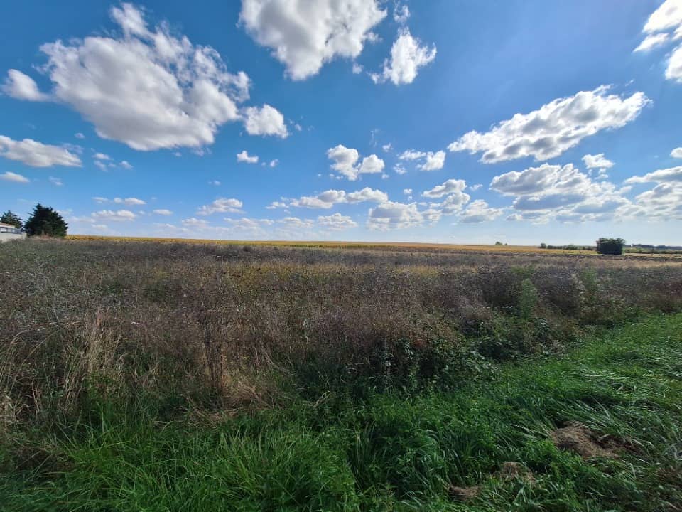 Terrain - Terrain à bâtir () à Moëze (17), prix 45 000 €