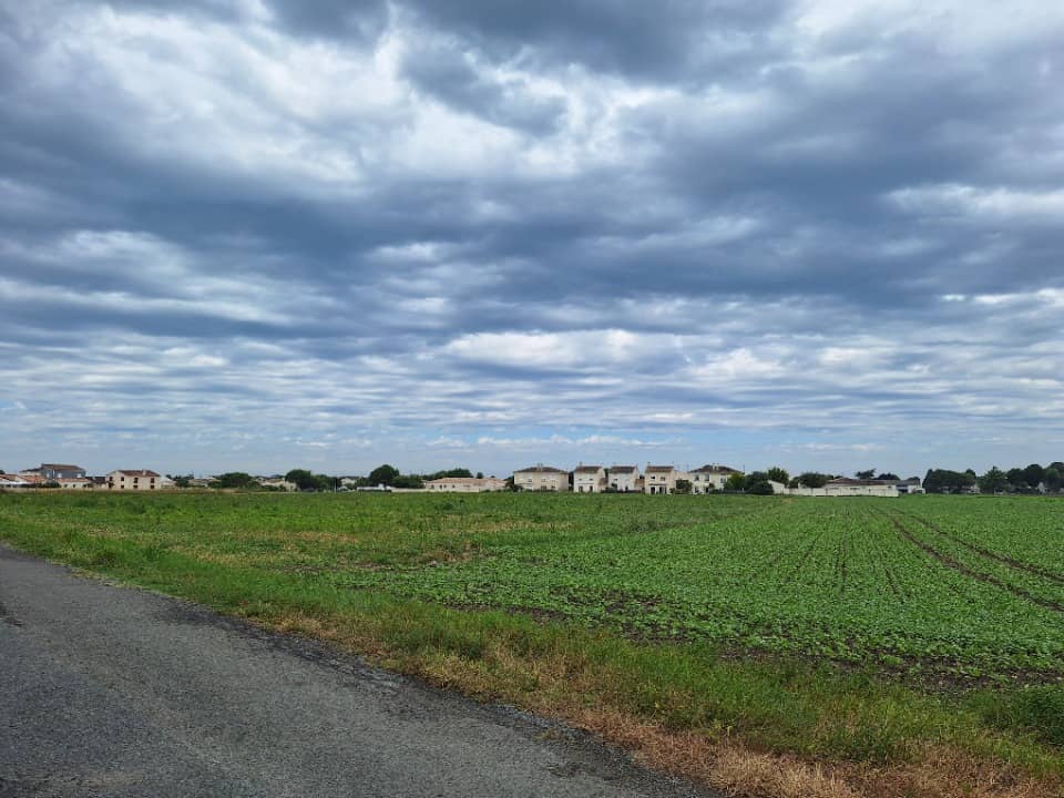 Terrain - Terrain à bâtir Saint-Georges-de-Didonne (17110) à Saint-Georges-de-Didonne (17), prix 50 600 €