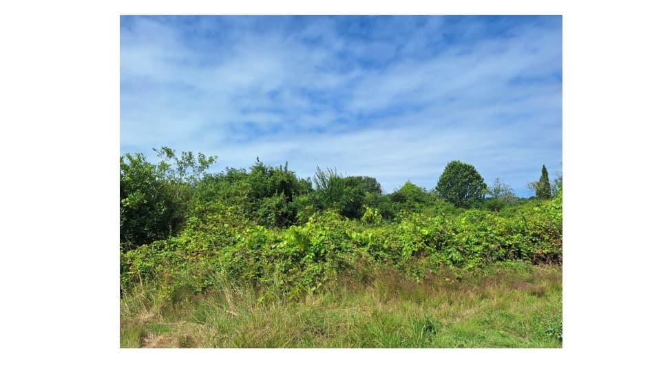 Terrain - Terrain à bâtir () à Saint-Augustin (17), prix 69 400 €