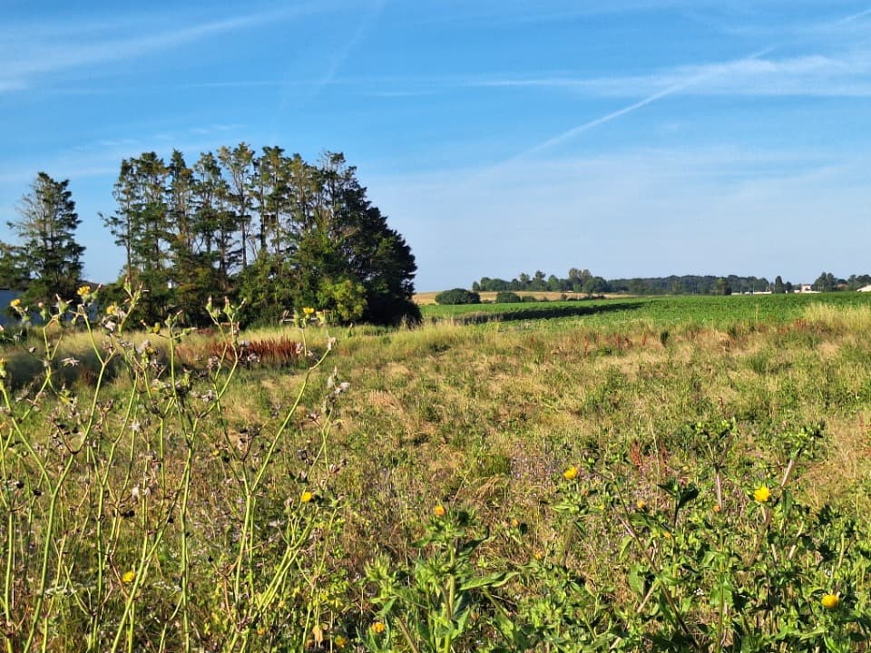 Terrain - Terrain à bâtir () à Mornac-sur-Seudre (17), prix 88 000 €