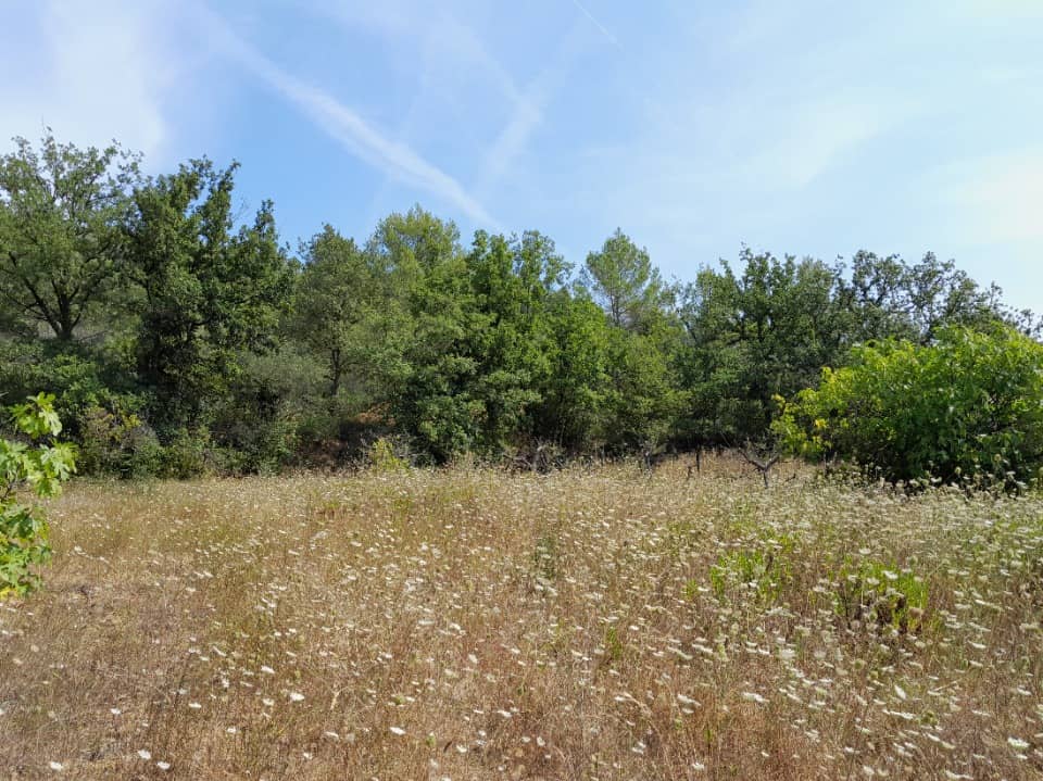 Terrain - Terrain à bâtir Camps-la-Source (83170) à Camps-la-Source (83), prix 178 000 €