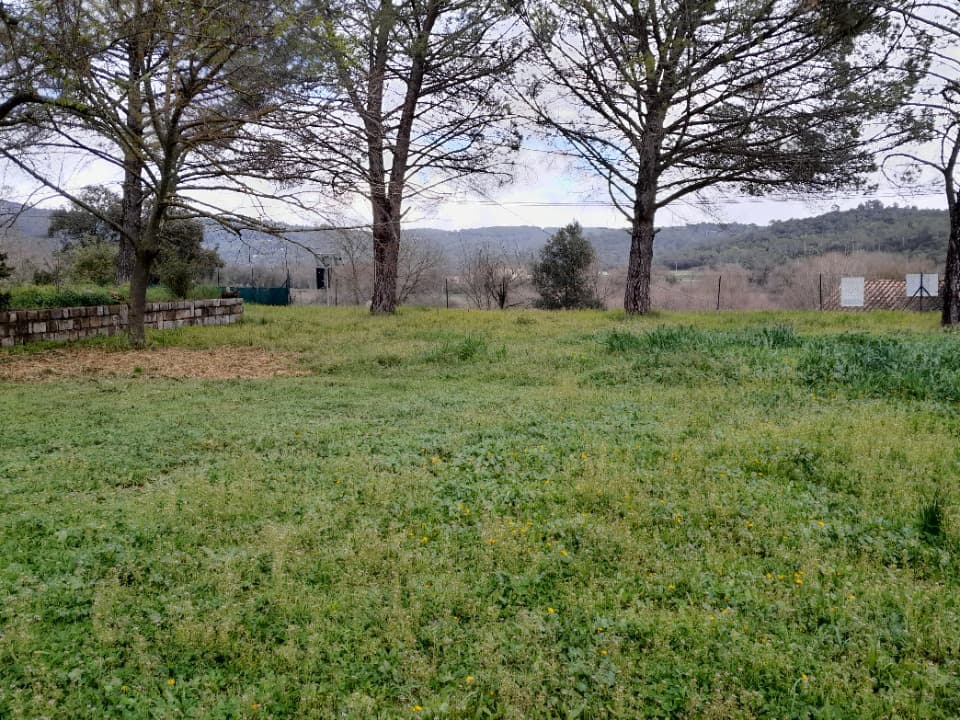 Terrain - Terrain à bâtir Cabasse (83340) à Cabasse (83), prix 115 000 €
