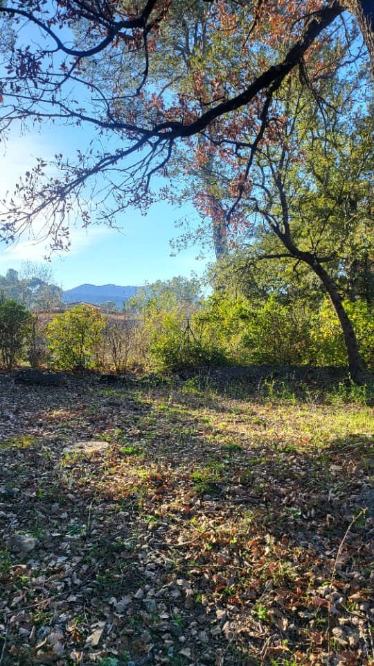 Terrain - Terrain à bâtir Brignoles (83170) à Brignoles (83), prix 103 000 €