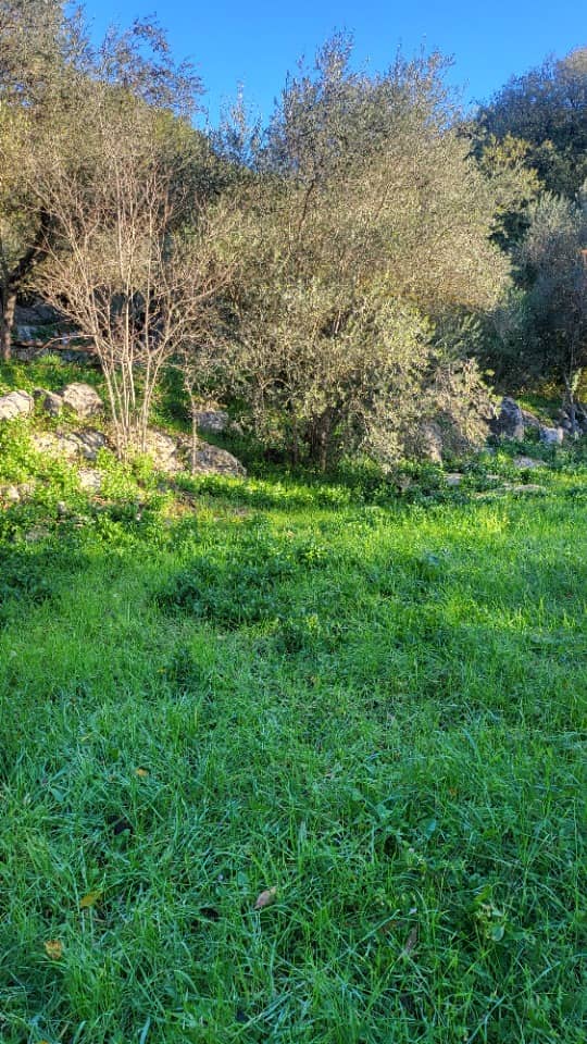 Terrain - Terrain à bâtir Camps-la-Source (83170) à Camps-la-Source (83), prix 121 000 €