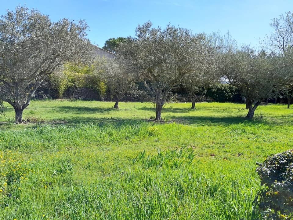 Terrain - Terrain à bâtir Brignoles (83170) à Brignoles (83), prix 144 000 €