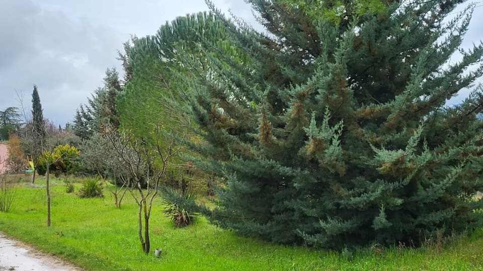 Terrain - Terrain à bâtir Brignoles (83170) à Brignoles (83), prix 116 000 €