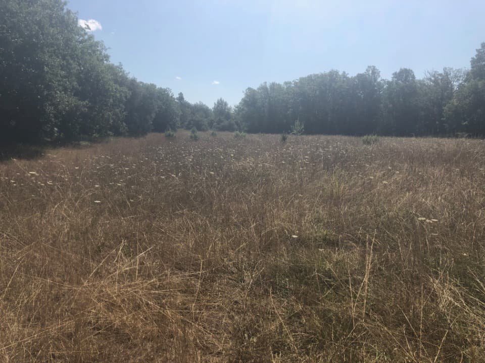 Terrain - Terrain à bâtir Régusse (83630) à Régusse (83), prix 77 000 €