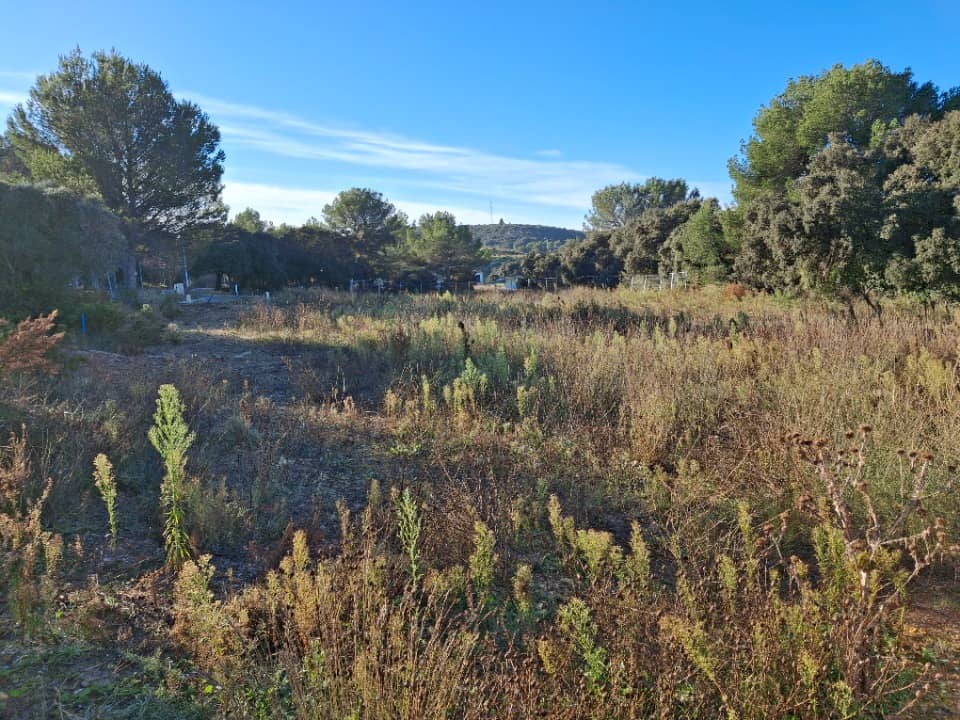 Terrain - Terrain à bâtir Lançon-Provence (13680) à Lançon-Provence (13), prix 208 000 €
