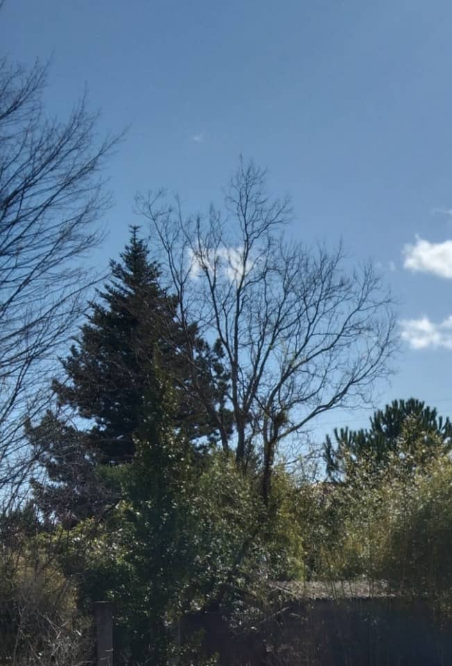 Terrain - Terrain à bâtir Volx (04130) à Volx (41), prix 99 000 €