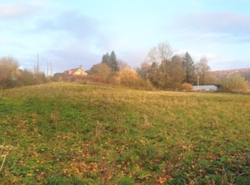 Terrain - Terrain à bâtir Saint-Martin-de-Bienfaite-la-Cressonnière (14290) à Saint-Martin-de-Bienfaite-la-Cressonnière (14), prix 29 900 €