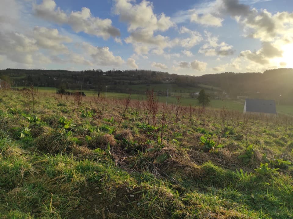 Maison neuve - Terrain à bâtir Le Mesnil-Guillaume (14100) à Le Mesnil-Guillaume (14), prix 222 874 €
