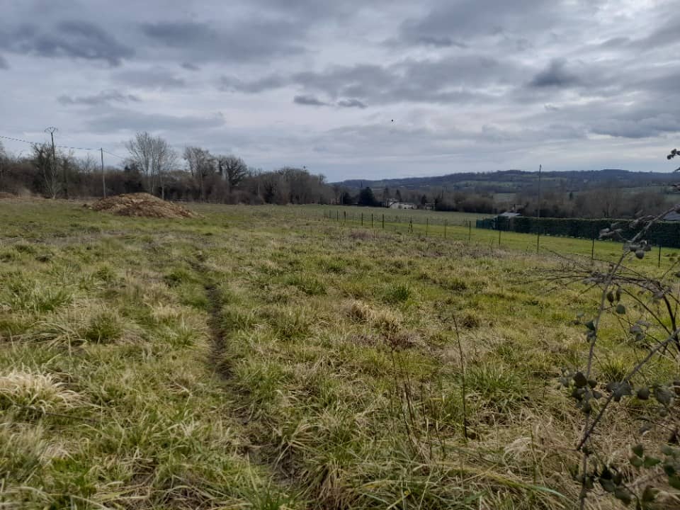 Terrain - Terrain à bâtir Beuvillers (14100) à Beuvillers, prix 50 000 €