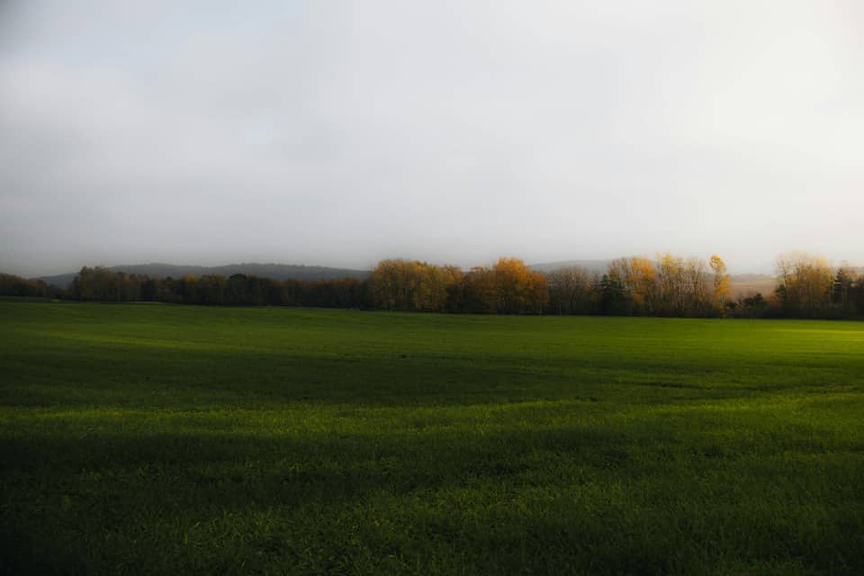 Terrain - Terrain à bâtir Altkirch (68130) à Altkirch, prix 108 000 €