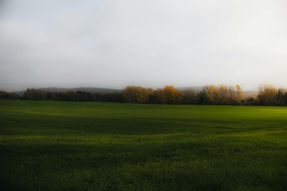 Terrain - Terrain à bâtir Altkirch (68130) à Altkirch (68), prix 108 000 €