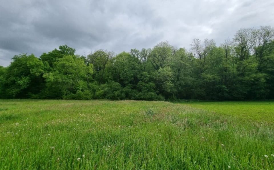 Terrain - Terrain à bâtir Saint-Louis (68128) à Saint-Louis (68), prix 165 000 €