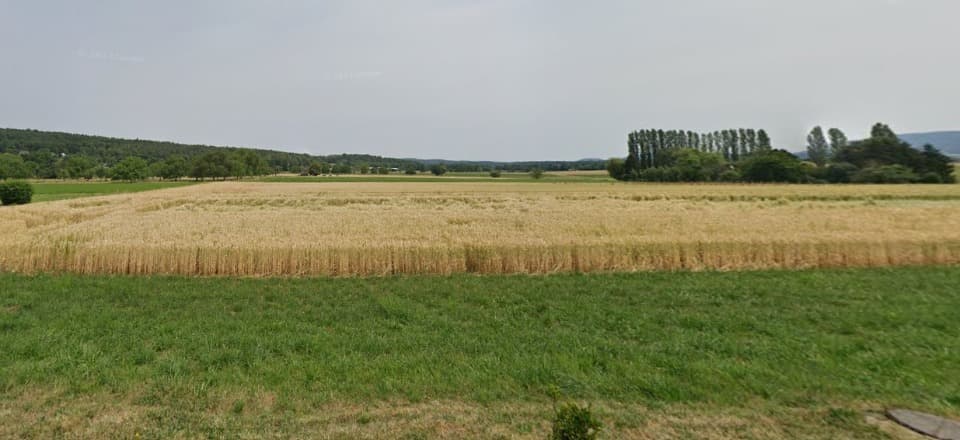 Terrain - Terrain à bâtir Ferrette (68480) à Ferrette (68), prix 67 950 €