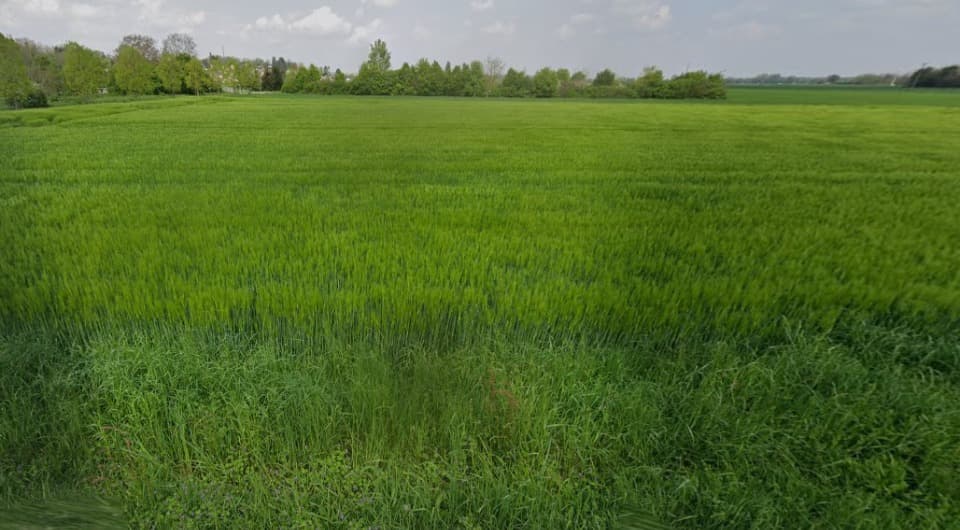 Terrain - Terrain à bâtir Schlierbach (68440) à Schlierbach (68), prix 120 000 €