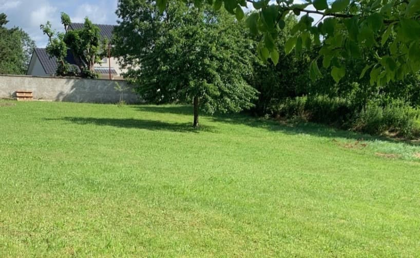 Terrain - Terrain à bâtir Bréchaumont (68210) à Bréchaumont (68), prix 130 000 €