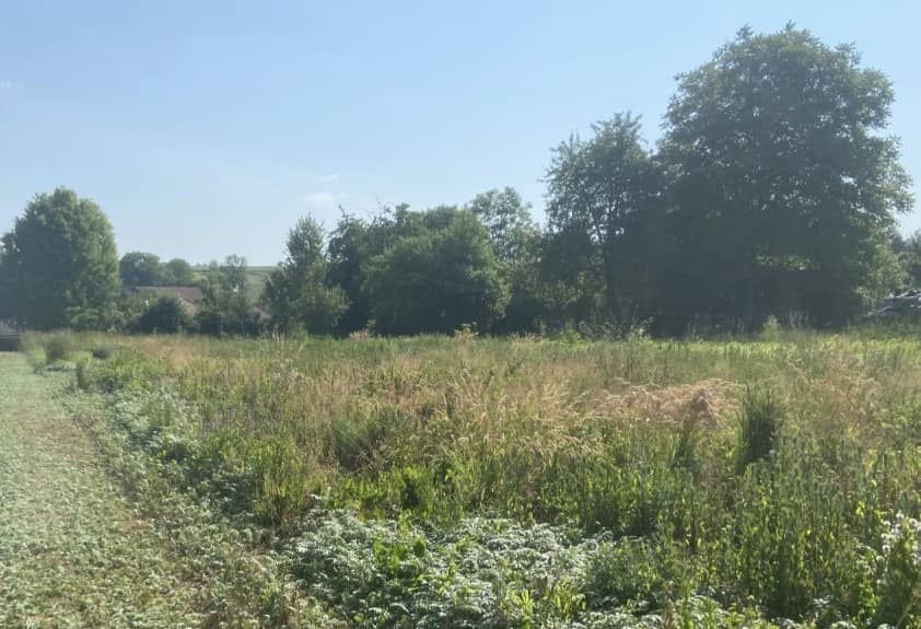 Terrain - Terrain à bâtir Zaessingue (68130) à Zaessingue, prix 99 000 €