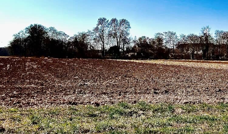 Terrain - Terrain à bâtir Altkirch (68130) à Altkirch, prix 83 220 €