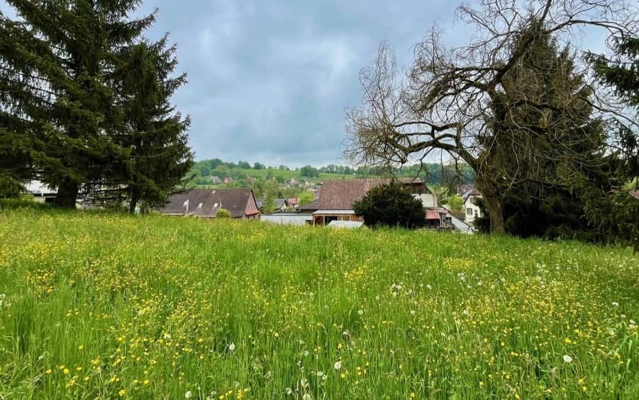 Terrain - Terrain à bâtir Bendorf (68480) à Bendorf, prix 134 000 €