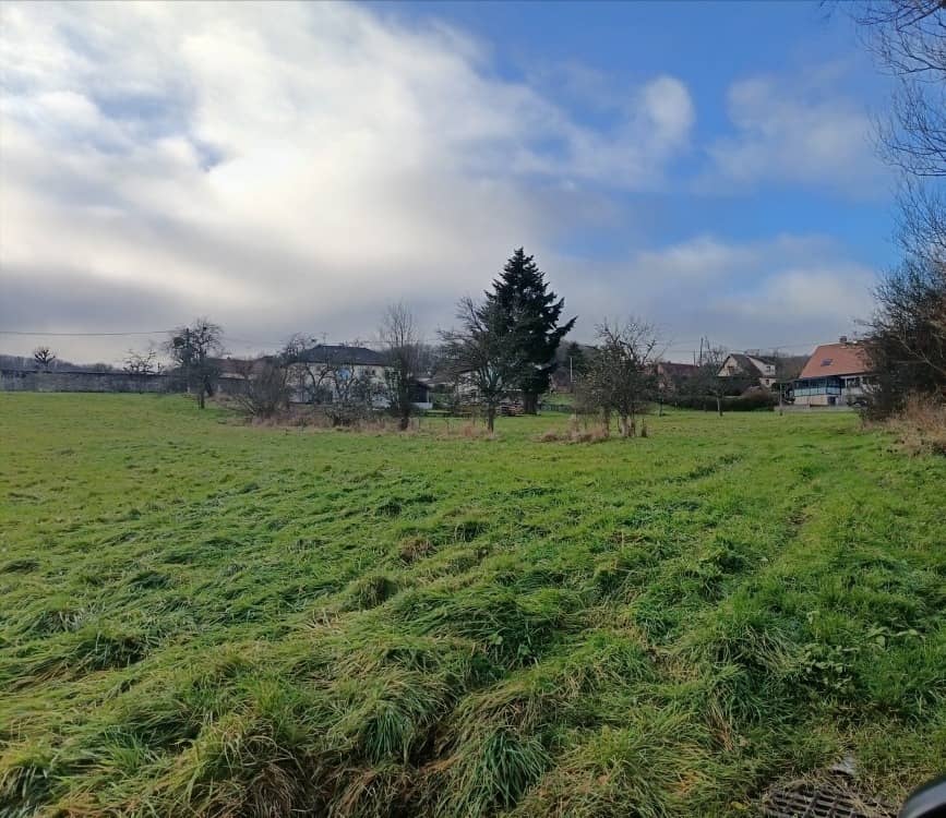 Terrain - Terrain à bâtir Roderen (68800) à Roderen (68), prix 160 000 €