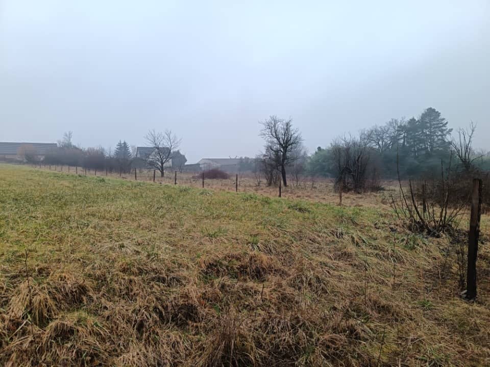 Terrain - Terrain à bâtir Galfingue (68990) à Galfingue, prix 117 000 €