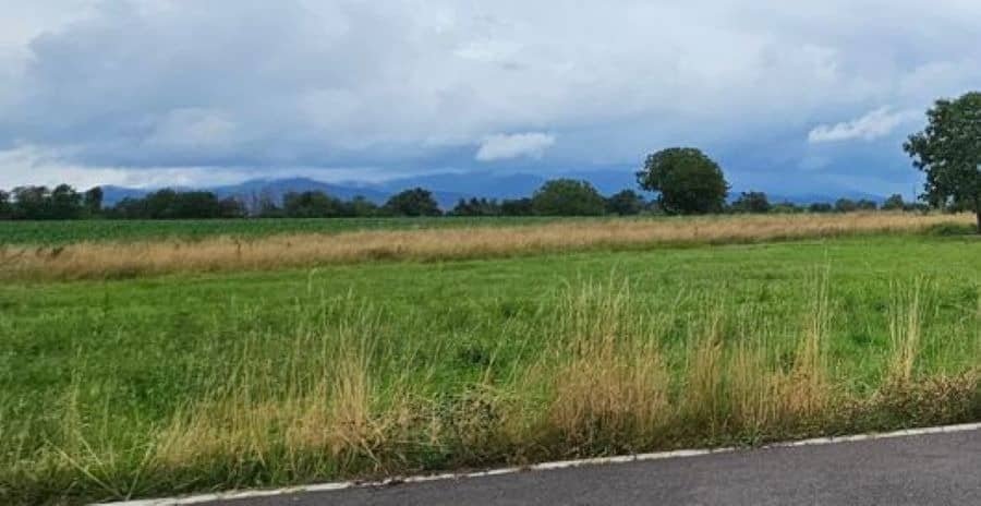 Terrain - Terrain à bâtir Schweighouse-Thann (68520) à Schweighouse-Thann, prix 108 000 €