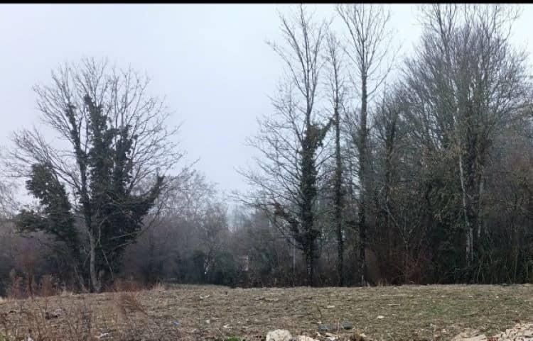 Terrain - Terrain à bâtir Morschwiller-le-Bas (68790) à Morschwiller-le-Bas (68), prix 134 505 €