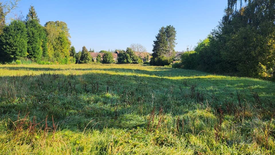 Terrain - Terrain à bâtir Retzwiller (68210) à Retzwiller, prix 79 605 €