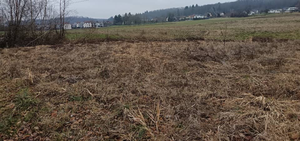 Terrain - Terrain à bâtir Hirsingue (68560) à Hirsingue, prix 65 000 €