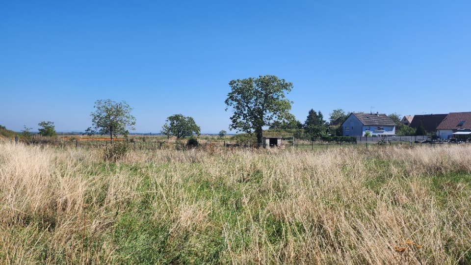 Terrain - Terrain à bâtir Ruederbach (68560) à Ruederbach (68), prix 85 000 €