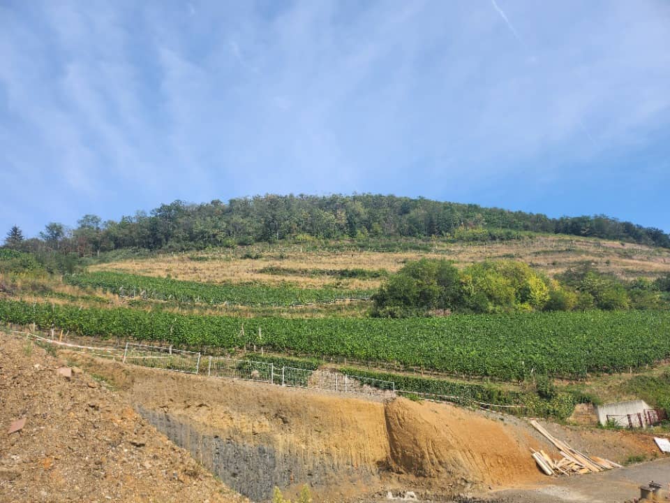 Terrain - Terrain à bâtir Guebwiller (68500) à Guebwiller (68), prix 106 000 €