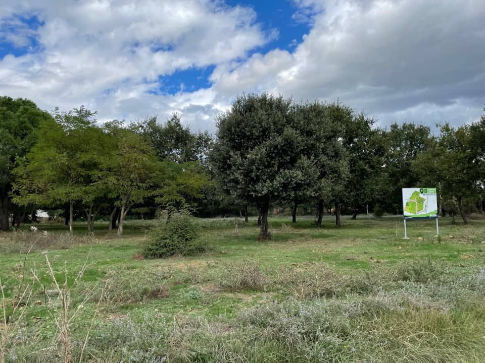 Terrain - Terrain à bâtir Montignargues (30190) à Montignargues (30), prix 99 900 €