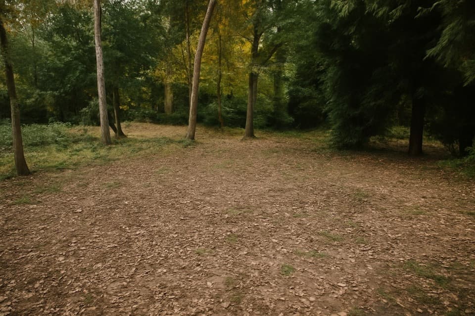 Terrain - Terrain à bâtir Arcachon (33120) à Arcachon (33), prix 1 369 000 €