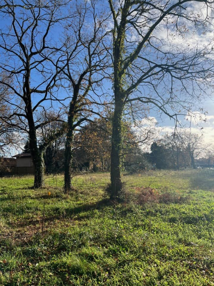 Terrain - Terrain à bâtir Le Teich (33470) à Le Teich, prix 260 000 €