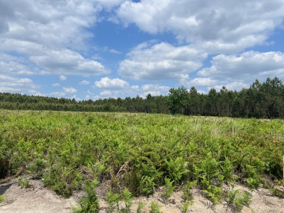 Terrain - Terrain à bâtir Mios (33380) à Mios, prix 201 000 €