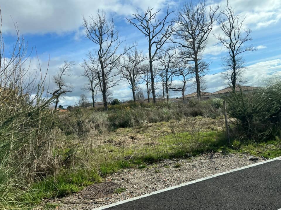 Terrain - Terrain à bâtir Mios (33380) à Mios, prix 182 000 €