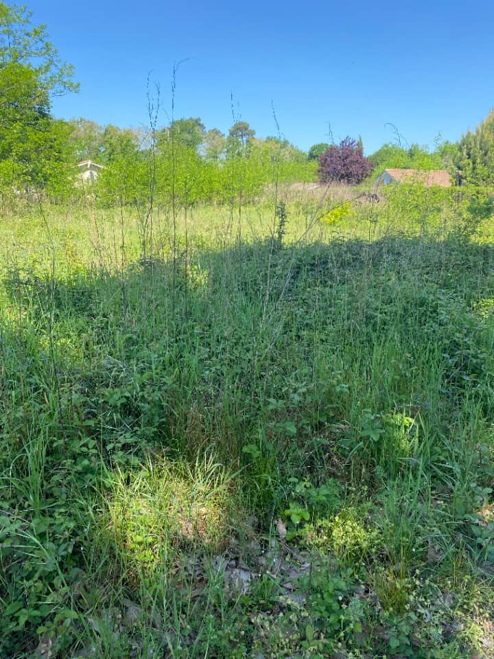 Terrain - Terrain à bâtir Biganos (33380) à Biganos, prix 133 000 €